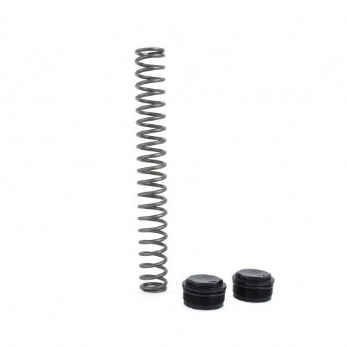Street Fork Spring Kit
