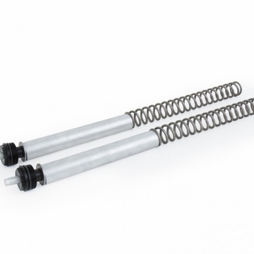 Street Fork Spring Kit