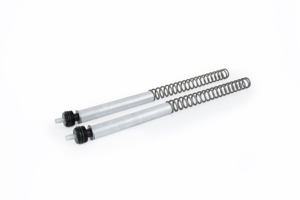 Street Fork Spring Kit