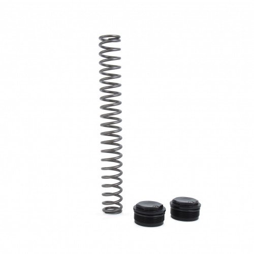 Street Fork Spring Kit